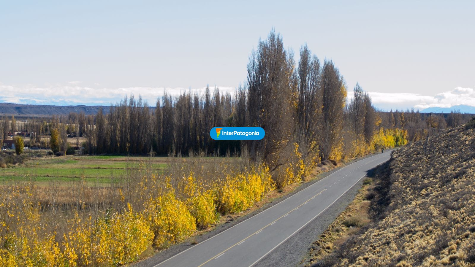 Ruta en otoo - Perito Moreno