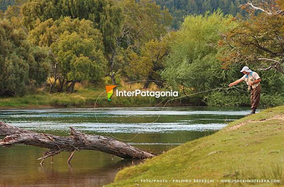 Probando en el Limay - Pesca con mosca en Patagonia