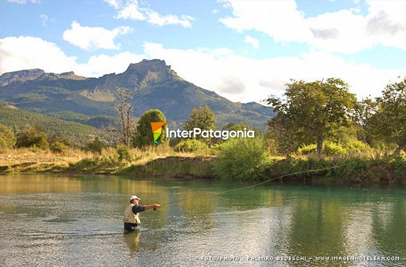 Buen lanzamiento - Pesca con mosca en Patagonia