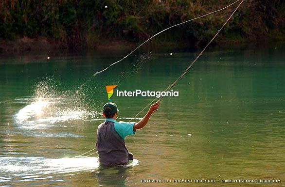 Pique - Pesca con mosca en Patagonia