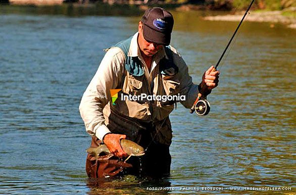 Hermosa pieza - Pesca con mosca en Patagonia