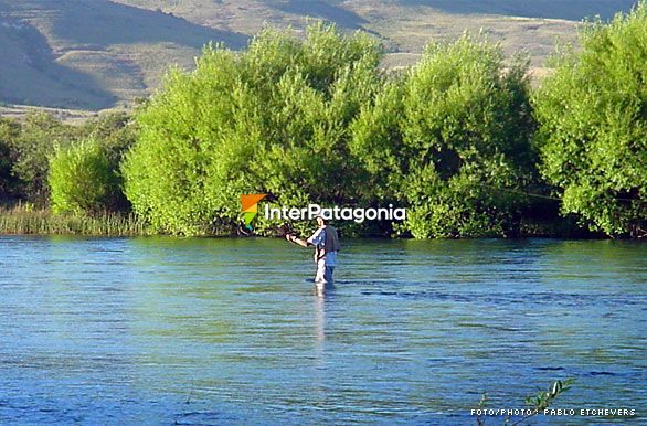 Cruzando el ro - Pesca con mosca en Patagonia