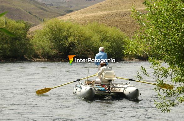 Foltando el Limay - Pesca con mosca en Patagonia