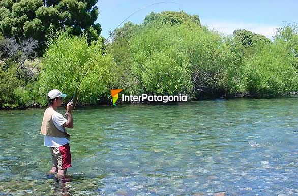 Buen pique - Pesca con mosca en Patagonia