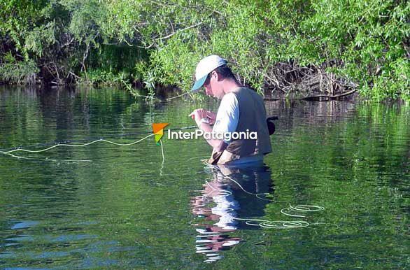 Cambio de mosca - Pesca con mosca en Patagonia