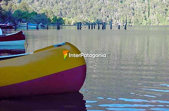 Pesca en el Traful - Pesca con mosca en Patagonia