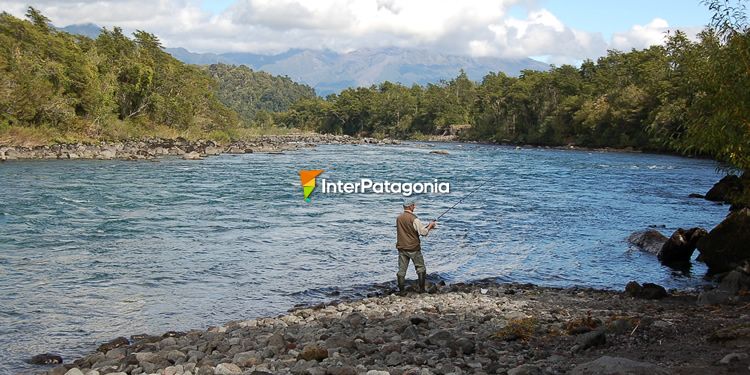 Pesca con mosca en la Patagonia