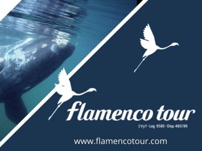 Flamenco Tour