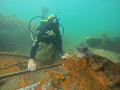 Buceo Madryn Buceo