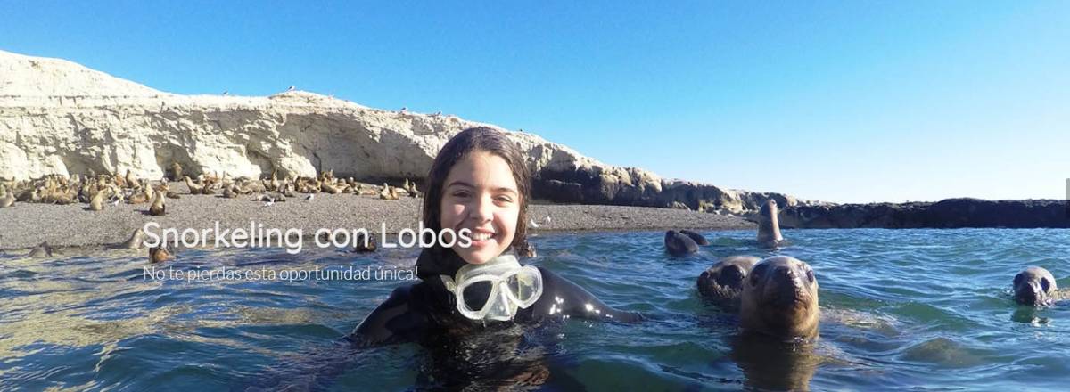 Buceo Madryn Buceo