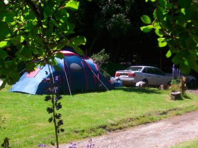 Fully-equipped Camping Sites Osa Mayor