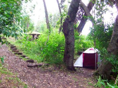 Campings Organizados Osa Mayor