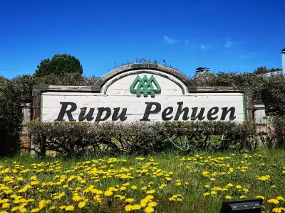 Rupu Pehuen