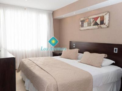 Apart Hoteles Los Aromos