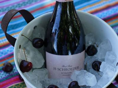 Bodegas Familia Schroeder