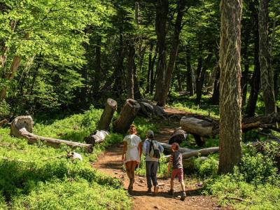 Ascensiones/Trekking Refugio Neumeyer