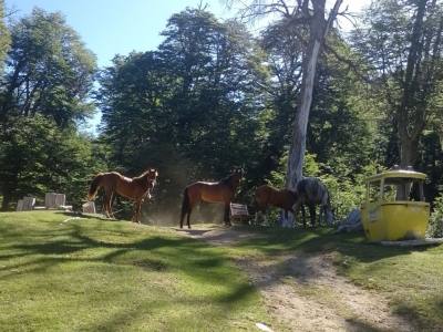 Ascensiones/Trekking Refugio Neumeyer