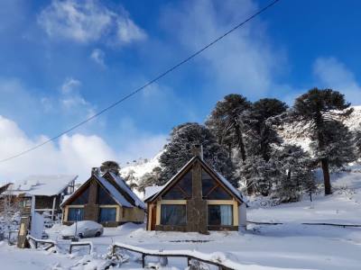 Cabins Pehuen