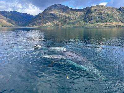 Travel and Tourist Agency Solo Expediciones