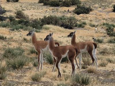 Agencias de viajes y turismo Waira Travel