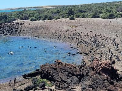 Agencias de viajes y turismo Waira Travel