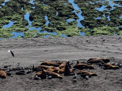Agencias de viajes y turismo Waira Travel