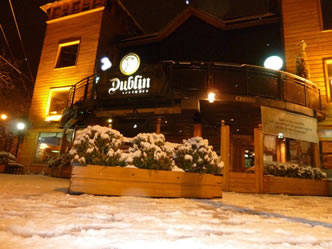 Pubs Dublin South Pub