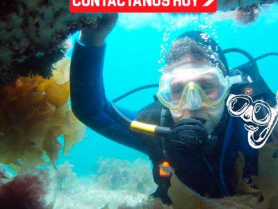 Abramar Buceo