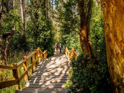 Paseos Lacustres Quetrihue Viajes y Turismo