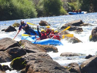 Agencias de viajes y turismo Picurú Viajes y Turismo