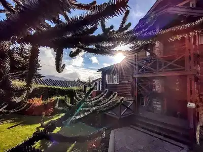 Solar de las Araucarias