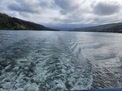Paseos Fluviales Catamarán Marqués de Mancera