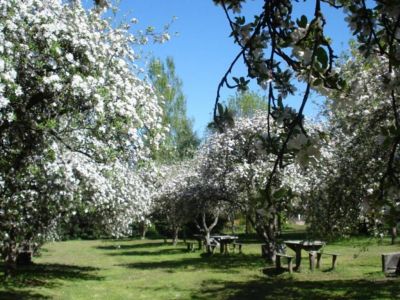 Campings Organizados La Chacra