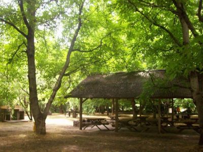 Campings Organizados La Chacra