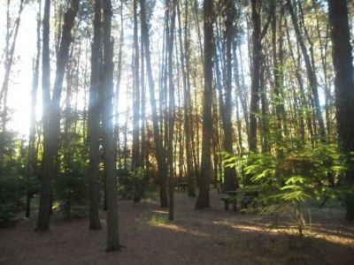 Campings Organizados La Chacra