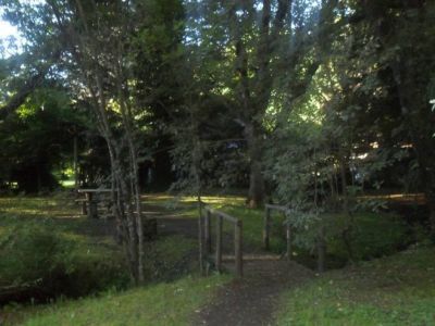 Campings Organizados La Chacra