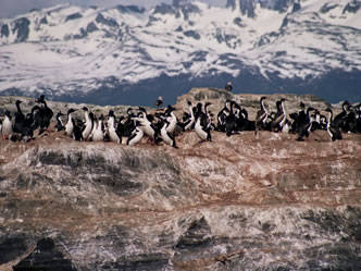 Travel and Tourist Agency Ushuaia Destiny & Service