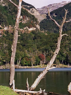 Travel and Tourist Agency Ushuaia Destiny & Service
