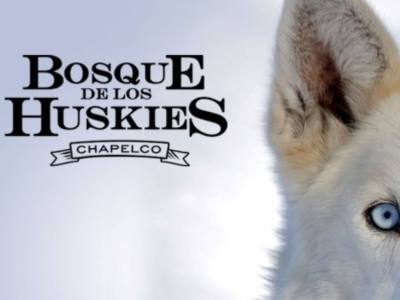 Paseos en Trineos Bosque de los Huskies