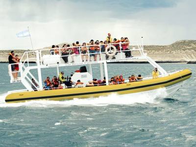 Avistajes Southern Spirit- Yellow Submarine