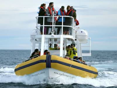 Avistajes Southern Spirit- Yellow Submarine