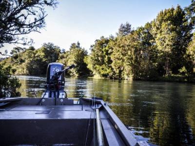 Salidas de Pesca Wild River Chile fly fishing lodge & cabines