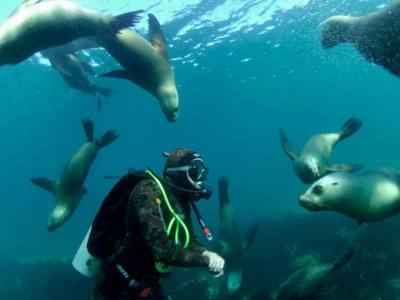 Patagonia Scuba