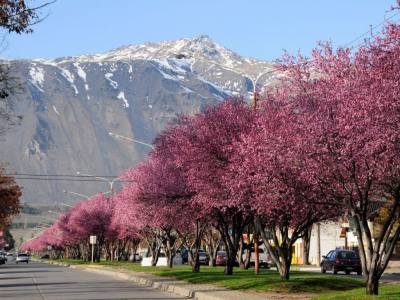 Nunatak