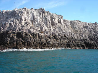 Paseos Marítimos Patagonia Austral Expeditions