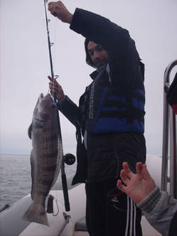 Buceo Patagonia Austral Expeditions
