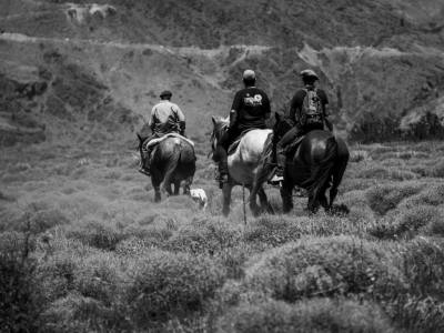 Horseback Riding Trips Estancia Quillén