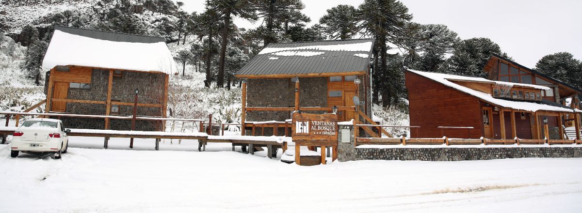 Cabins Ventanas al Bosque