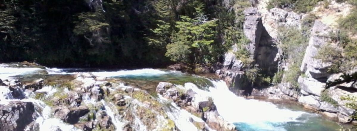 Alojamiento en el Parque Nacional Bosque Nativo Cabañas