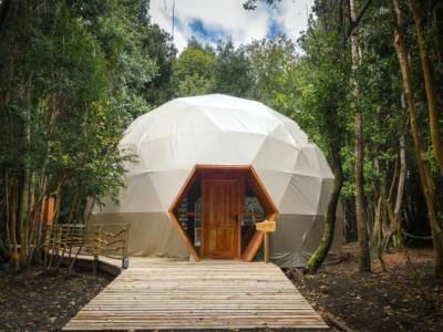 Cabins Ensenada Bosque Nativo